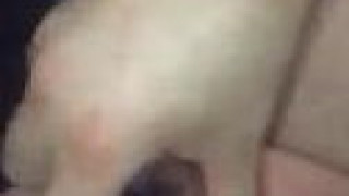 喷泉!? 挺多的 喷泉!? 挺多的