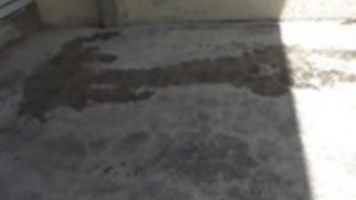 しゃがんアジア人排尿 しゃがんアジア人排尿