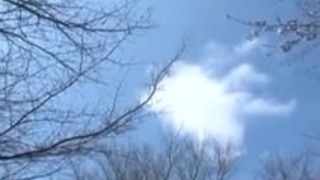 pecimmdfiq pecimmdfiq