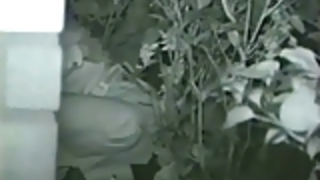 夜のセックス公園のベンチ